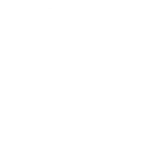 sportwear icon invert